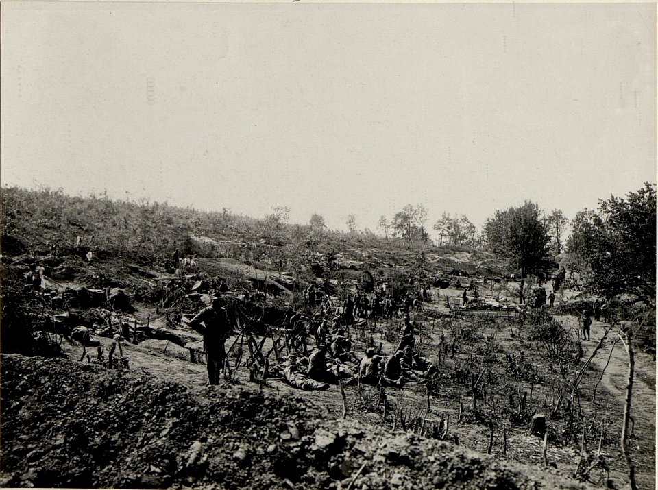 Reservestellungen im Pionierwäldchen, welche beim Angriff am 1. Juli auf die Worobijowka-Höhe durch das erste Bataillon des Infanterieregimentes 86 besetzt war (BildID 15542310)