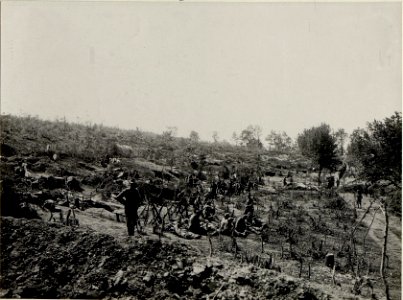 Reservestellungen im Pionierwäldchen, welche beim Angriff am 1. Juli auf die Worobijowka-Höhe durch das erste Bataillon des Infanterieregimentes 86 besetzt war (BildID 15542310)