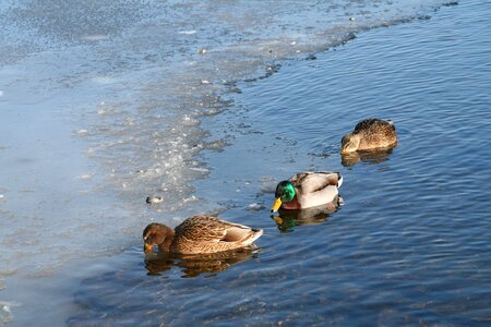 Winter and water