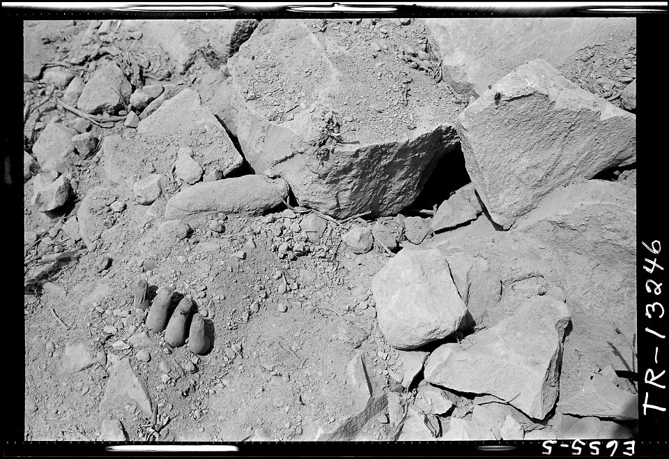 Results of one of the war's fiercest struggles, the fight for Iwo Jima, lie in sorry heaps all over the island. The... - NARA - 520735