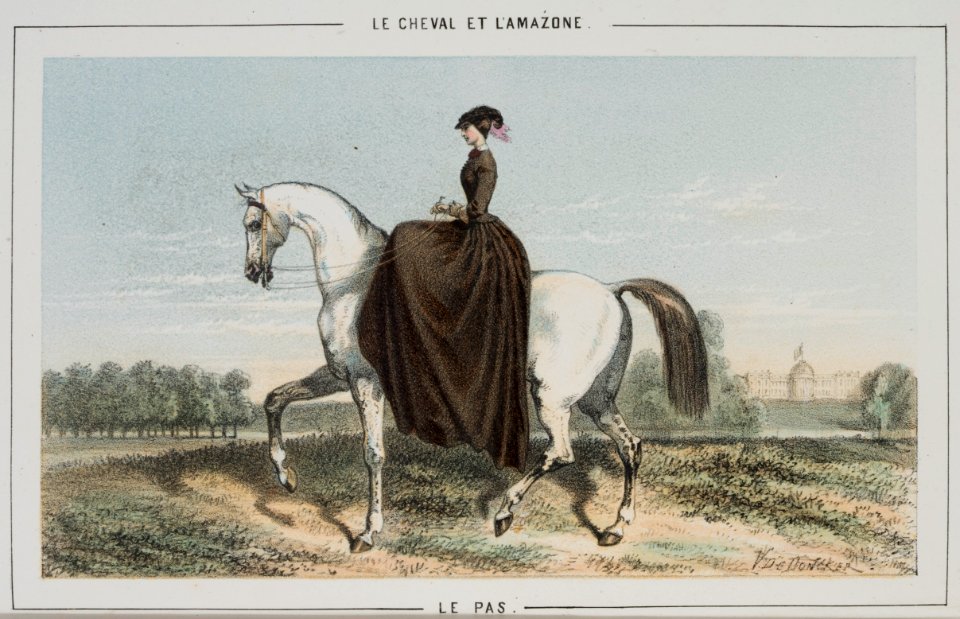 Repro ur Le Cheval et L´amazone - Livrustkammaren - 86554