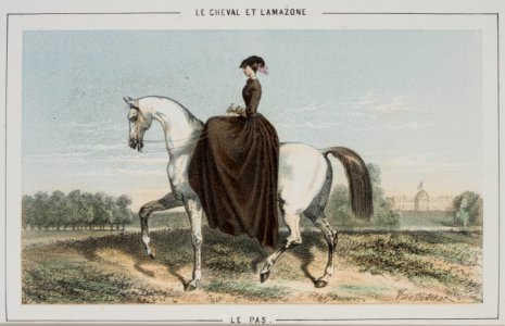 Repro ur Le Cheval et L´amazone - Livrustkammaren - 86554