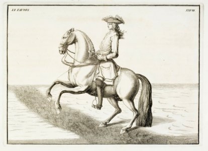 Repro ur Le Manége Moderne - Livrustkammaren - 86568