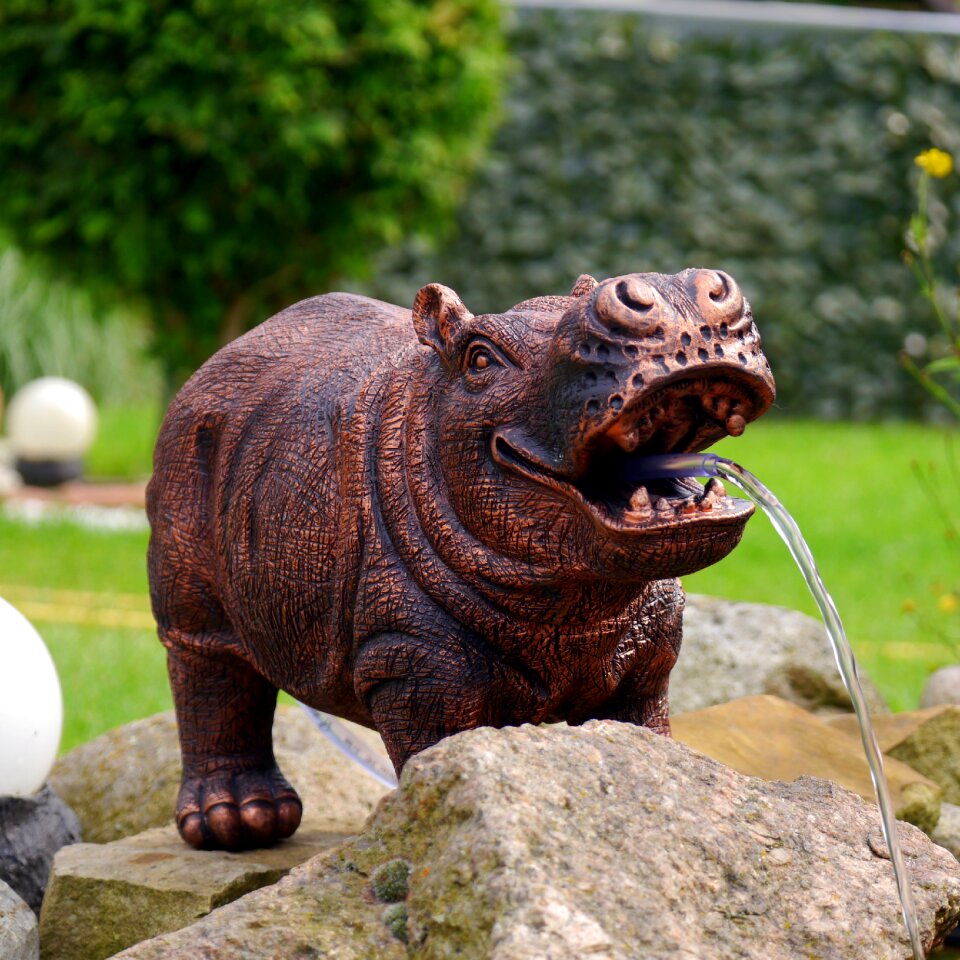 Hippo sculpture summer