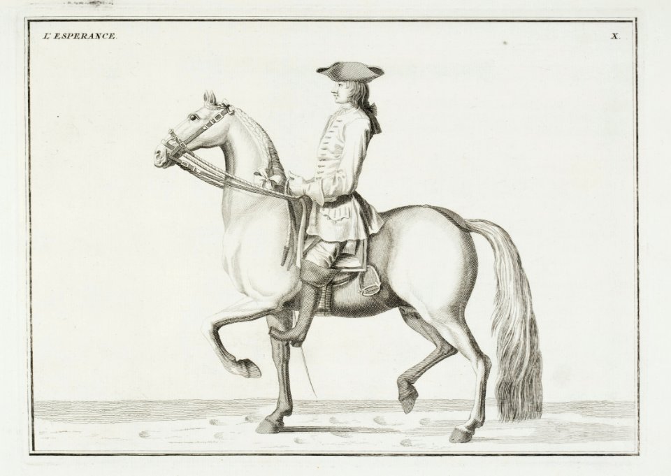 Repro ur Le Manége Moderne 1740 - Livrustkammaren - 86566