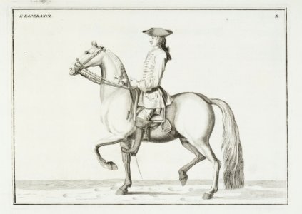 Repro ur Le Manége Moderne 1740 - Livrustkammaren - 86566