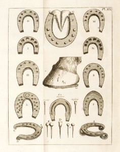 Repro ur Le Noveaux Parfait Marechal 1770 - Livrustkammaren - 86593