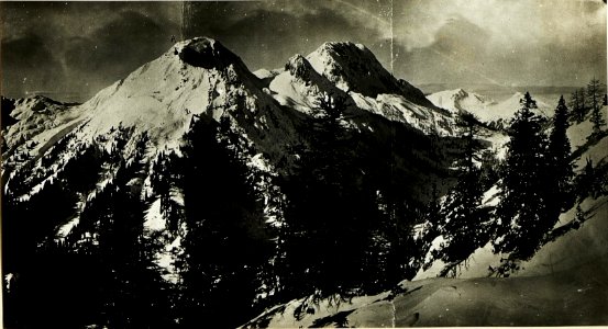 Reproduktion der Aufnahme 2720 Cra Alta, Mte Pizul, Mt.Zermula, Lanzenpass aus der Trogstellung. (4-1.1917.) (BildID 15499217)