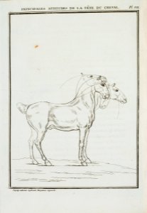 Repro ur L´Art de L´Equita - Livrustkammaren - 86563