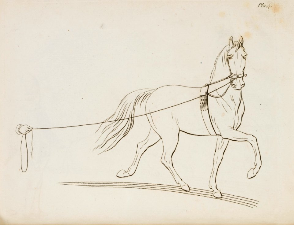 Repro ur Military Equitation - Livrustkammaren - 86560