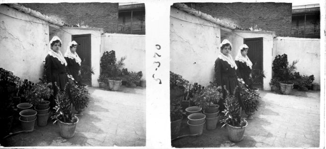 Retrat de costat de les músiques