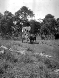 Resa till s-te Marie. Sluszanskis vagn framifrån. Madagaskar - SMVK - 021862 photo