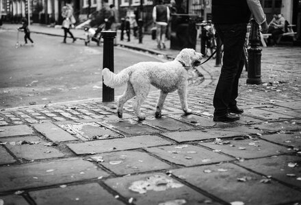 People walking man photo