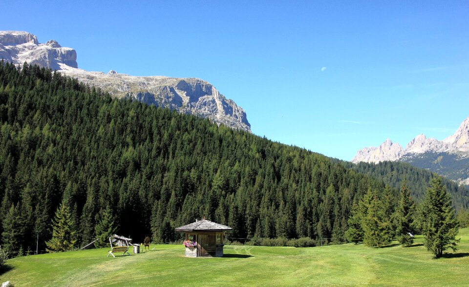 Landscape wood panorama