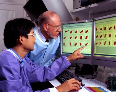 Researchers review cancer data photo