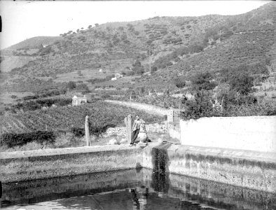 Retrat d'un home a la vorada d'una piscina amb muntanyes alfons (AFCEC RIBASV C 2737)