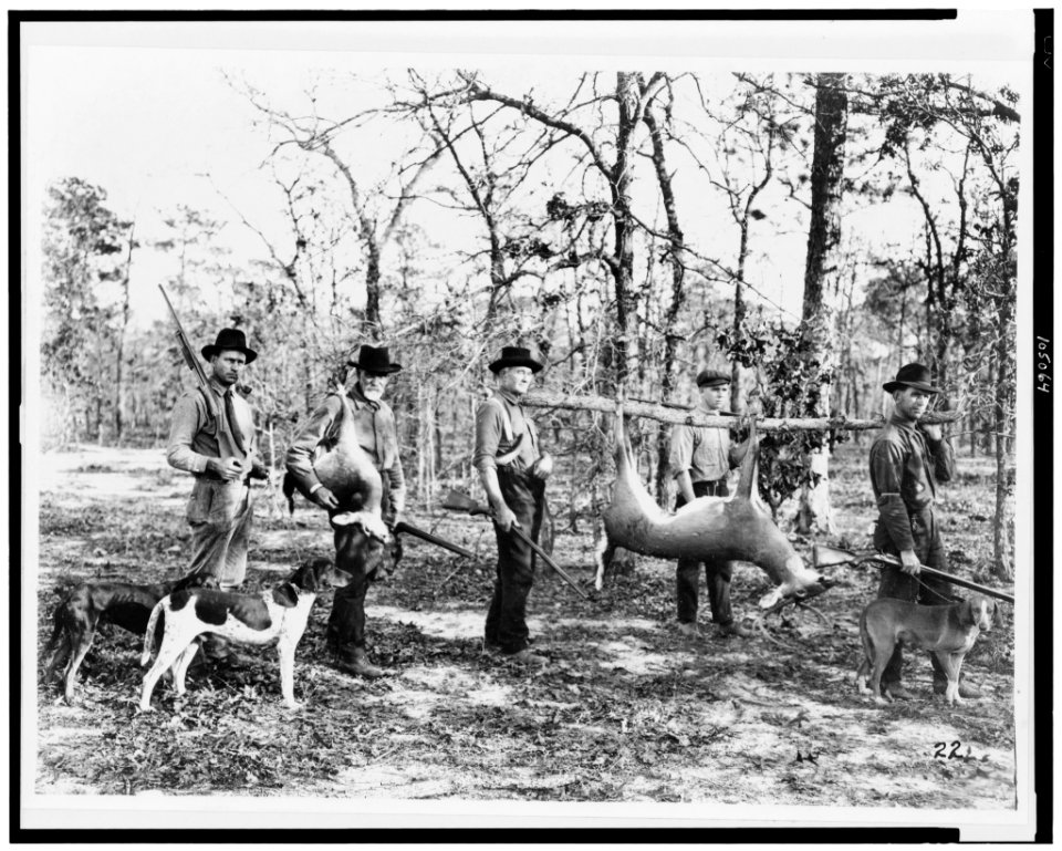 Return from the hunt LCCN92504908