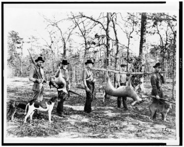 Return from the hunt LCCN92504908