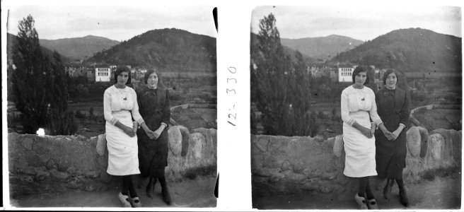 Retrat d'unes noies