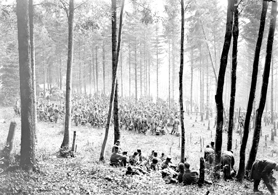 Reserven der Infanterie im Wald - CH-BAR - 3239111