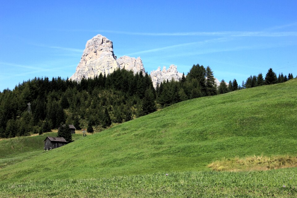 Mountain grass panorama
