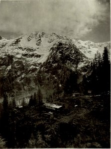 Reservestellung im Obergailergraben nördlich der Kote 1426 (BildID 15463534)