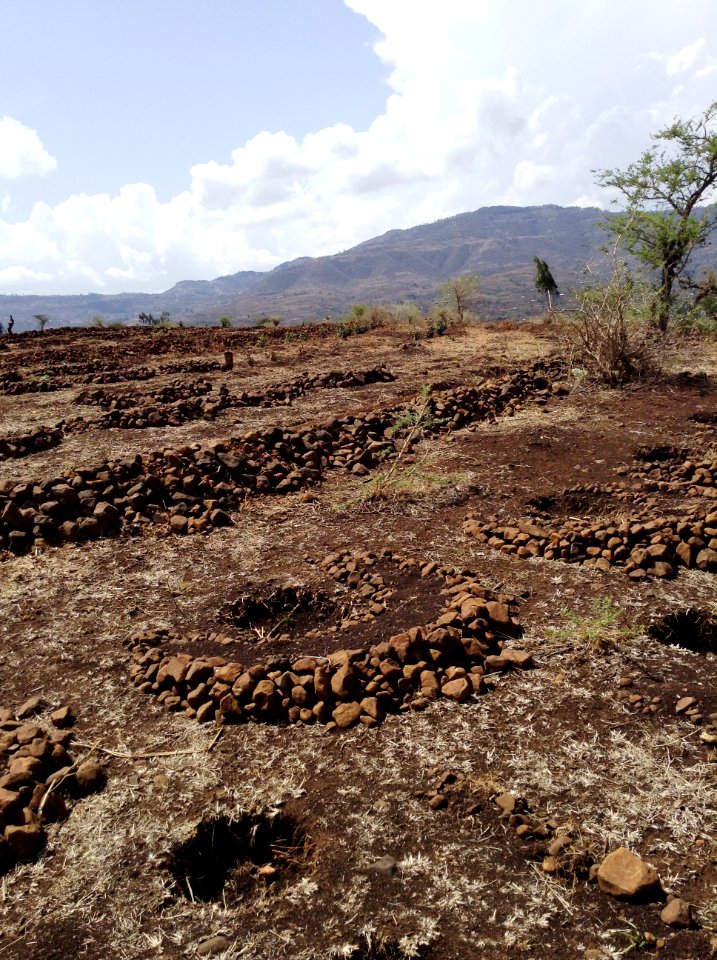 Resilience Enhanced through Adaptation, Action-learning and Partnerships (REAAP) (26925262761)
