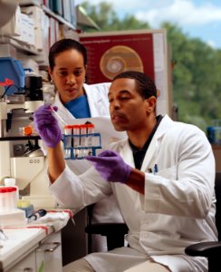 Researcher checks test tubes photo