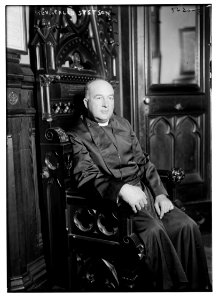 Rev. Caleb Stetson LCCN2014713727
