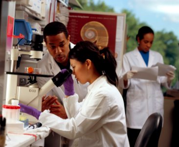 Researchers in laboratory (1) photo