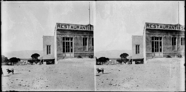 Restaurant del Tibidabo i un gos al davant