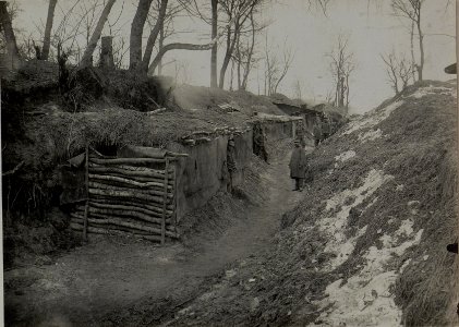 Reserve Deckungen. F.J.Baon Nro. 28. Lopuszno, 29.I.1916. (BildID 15453859)