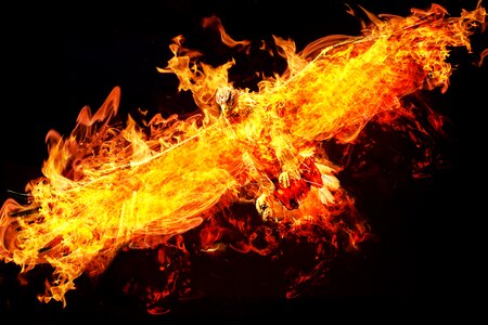 Fire eagle digital art