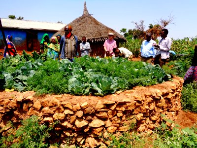 Resilience Enhanced through Adaptation, Action-learning and Partnerships (REAAP) (26389812893)