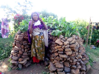 Resilience Enhanced through Adaptation, Action-learning and Partnerships (REAAP) (26993668195)