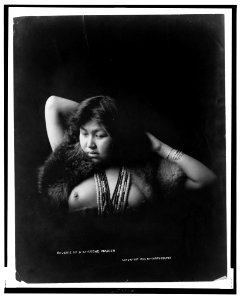 Reverie of a Stickene maiden LCCN2001695410