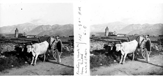 Retrat d'en Ventura amb carro de bous photo