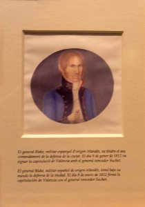 Retrato del general Blake en el Palacio de Cervelló