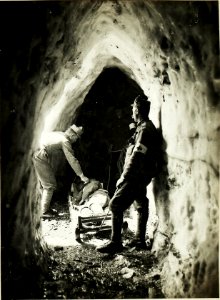Rettungsschlitten System Major Hülgerth im Schneetunnel auf der Rattendorfer-Alpe. (2-5.1917.) (BildID 15500638)