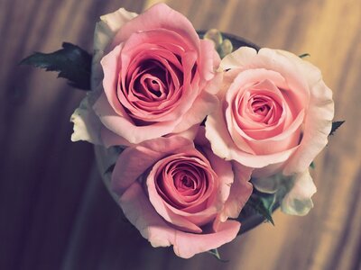 Love bouquet romance