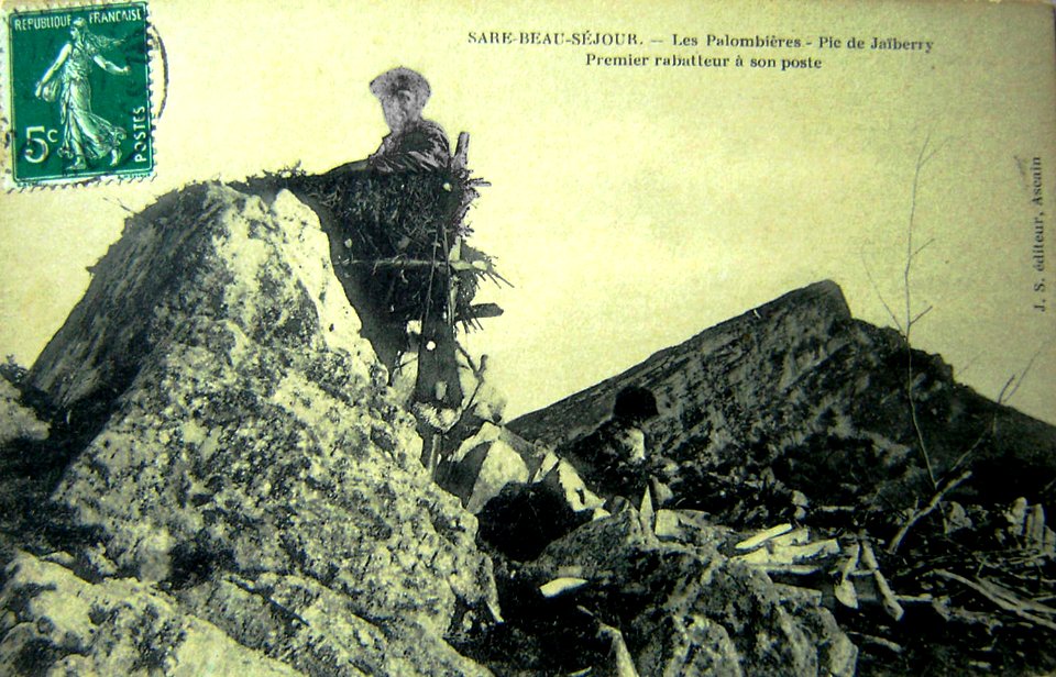 Rhune Faune Sare chasse à la palombe
