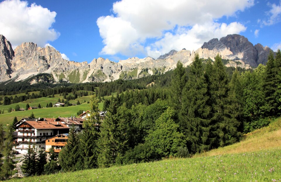 Tree landscape panorama