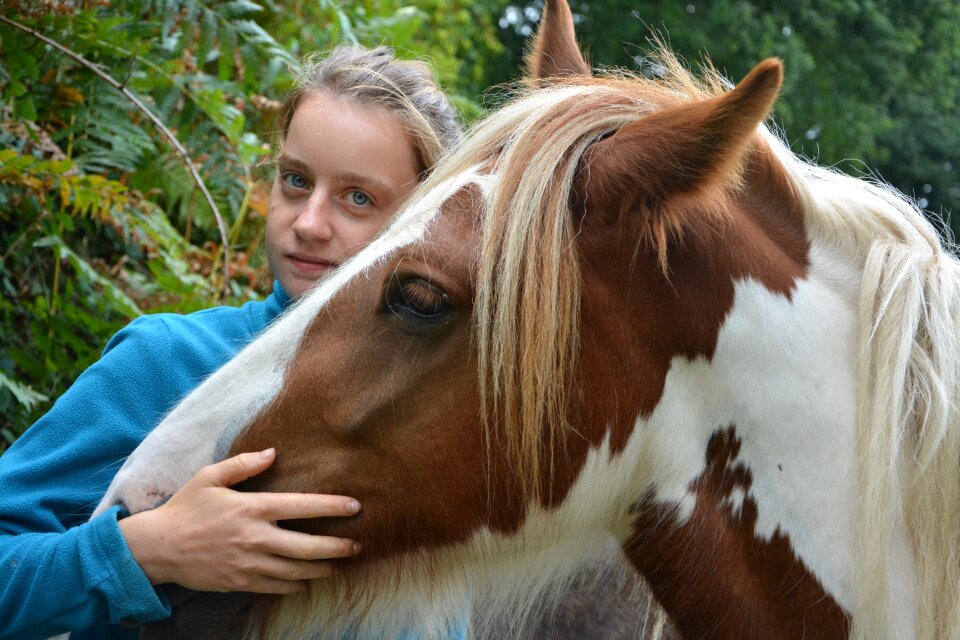 Hug tenderness complicity domestic animal