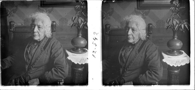 Retrat de la senyora Helena