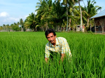Rice Farmer Aceh (5282030814)