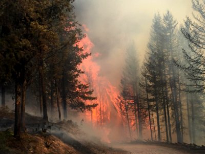 Rice Ridge Fire Images