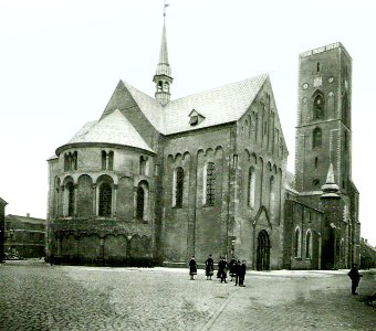 Ribe Domkirke 1892