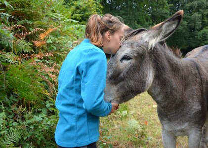 Young woman tenderness affection photo