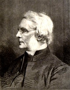 Reverend John William Colenso (b)