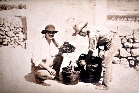 Richard Ellis, A sea-urchins seller, ca 1900